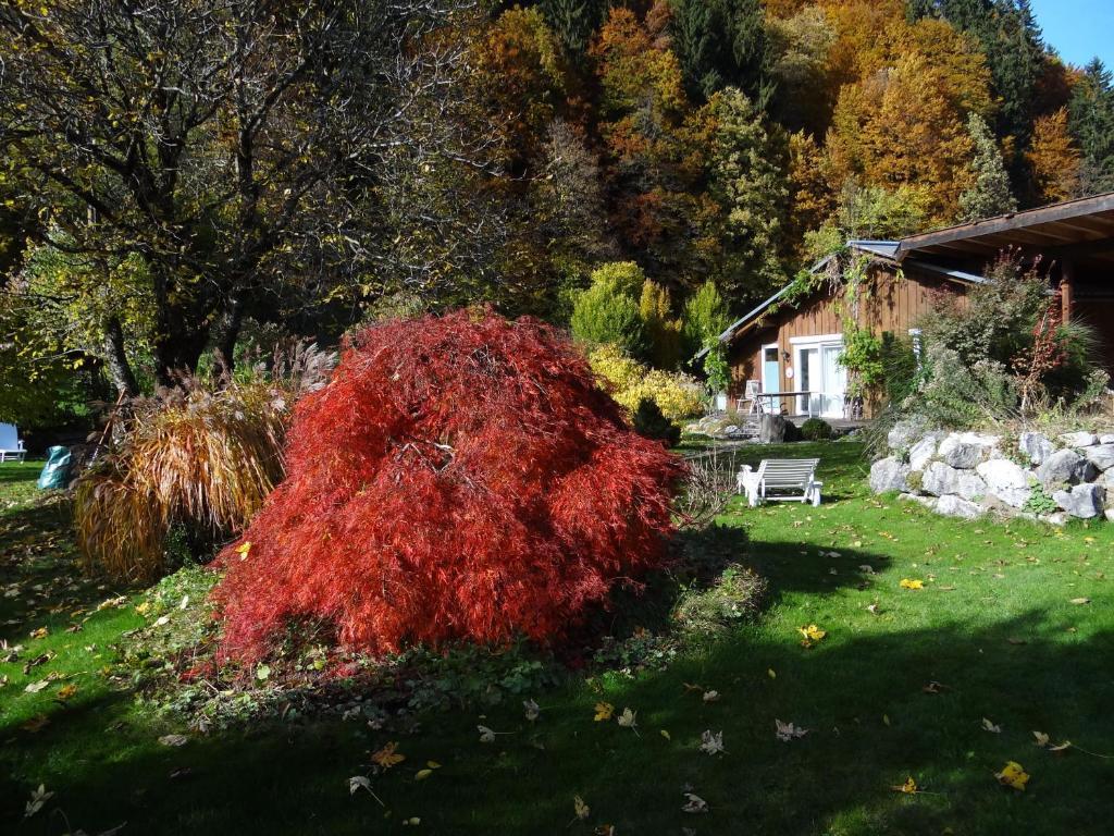 Gaestehaus Buehler Oberstdorf Kamer foto